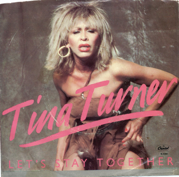 Tina Turner - Let's Stay Together (7", Win)