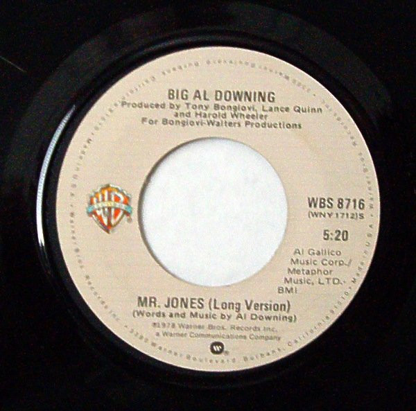 Al Downing - Mr. Jones (Long Version) - Warner Bros. Records - WBS 8716 - 7", Single 1119170389