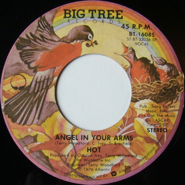 Hot - Angel In Your Arms / Just 'Cause I'm Guilty - Big Tree Records - BT-16085 - 7", Single, SRC 1164863715