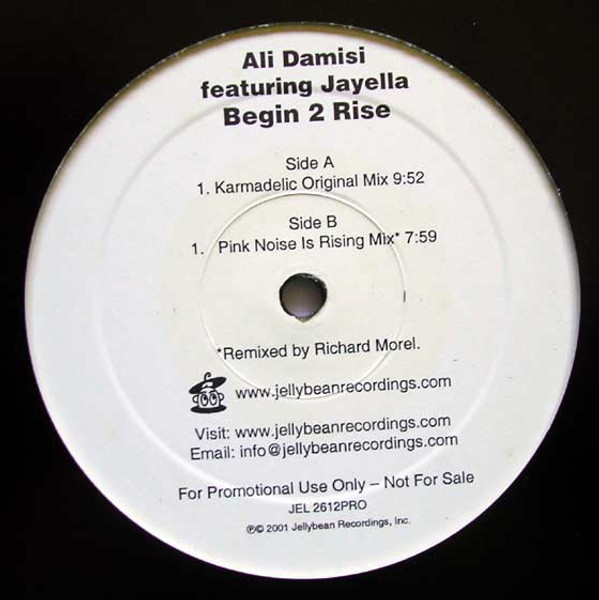 Ali Damisi Featuring Jayella - Begin 2 Rise (2x12", Promo)