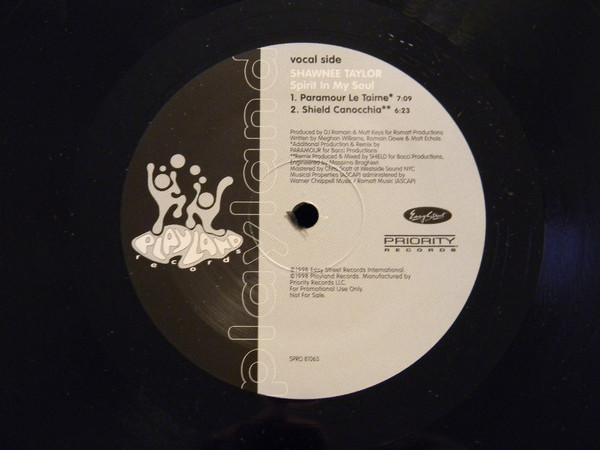 Shawnee Taylor - Spirit In My Soul (12", Promo)