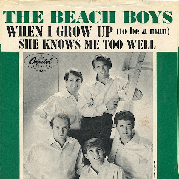 The Beach Boys - When I Grow Up (To Be A Man) - Capitol Records - 5245 - 7", Single 1244050041