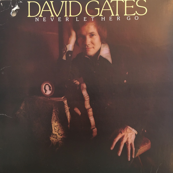 David Gates - Never Let Her Go (LP, Album)