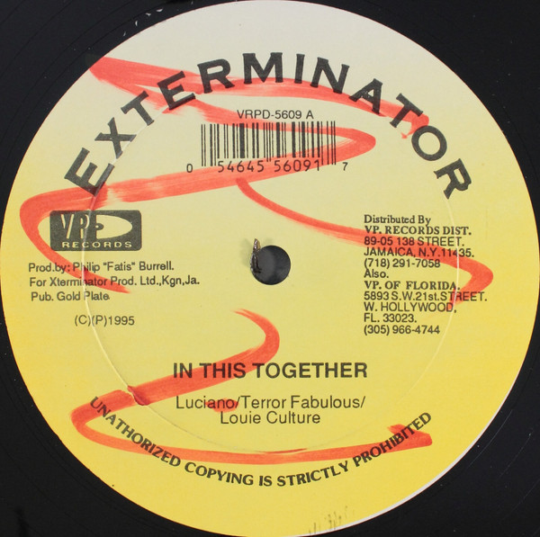 Luciano (2) / Terror Fabulous / Louie Culture / Sizzla - In This Together / I Wonder (12")