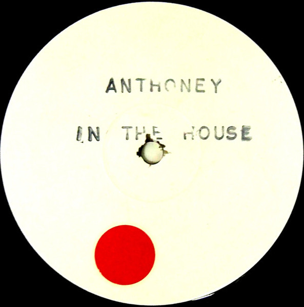 Anthoney - In The House (Danny "Buddah" Morales Mixes) - Public Demand - PPDT 17 - 2x12", W/Lbl 1598592886