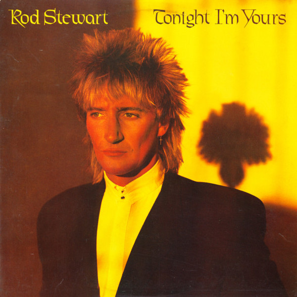 Rod Stewart - Tonight I'm Yours - Warner Bros. Records - BSK 3602 - LP, Album, Win 1836614158