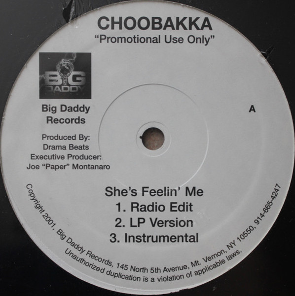 Choobakka - She's Feelin' Me (12", Promo)