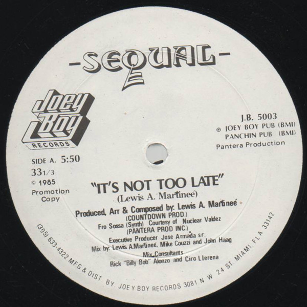Sequal - It's Not Too Late (12", Promo)