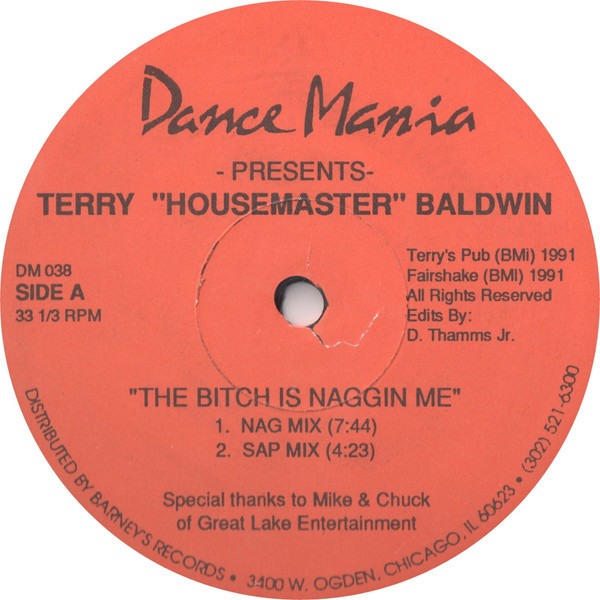 Terry "Housemaster" Baldwin* - The Bitch Is Naggin Me / Hands Up (You Got The Love) (12")
