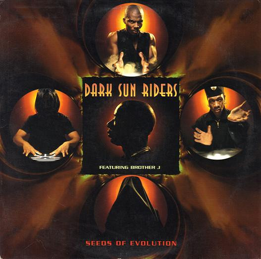 Dark Sun Riders - Seeds Of Evolution (LP, Album)