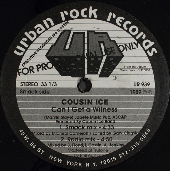 Cousin Ice - Can I Get A Witness (12", Promo)