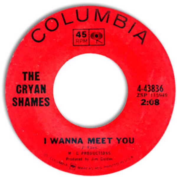 The Cryan Shames* - I Wanna Meet You (7")