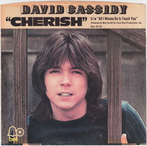 David Cassidy - Cherish / All I Wanna Do Is Touch You (7", Single, Mono, ARP)
