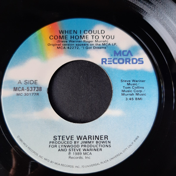 Steve Wariner - When I Could Come Home To You / Do You Want To Make Something Of It (7", Single, Glo)