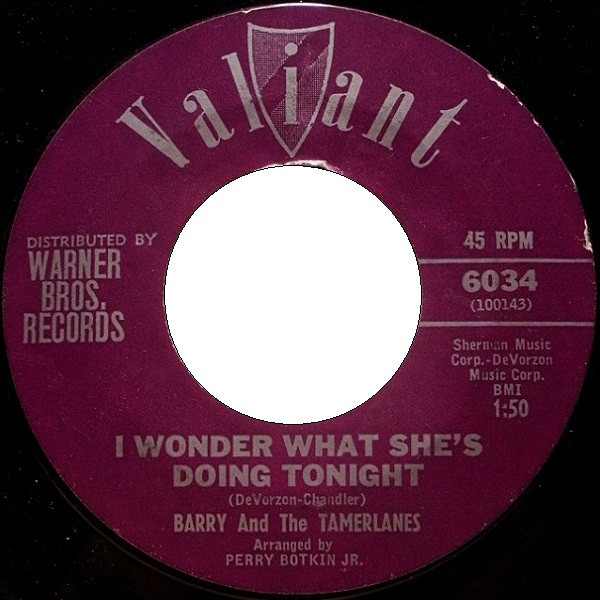 Barry And The Tamerlanes - I Wonder What She's Doing Tonight (7", Single, Styrene)