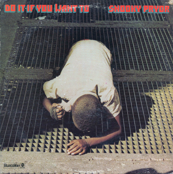 Snooky Pryor - Do It If You Want To (LP, Album)