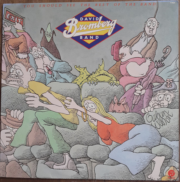 David Bromberg Band - You Should See The Rest Of The Band (LP, San)