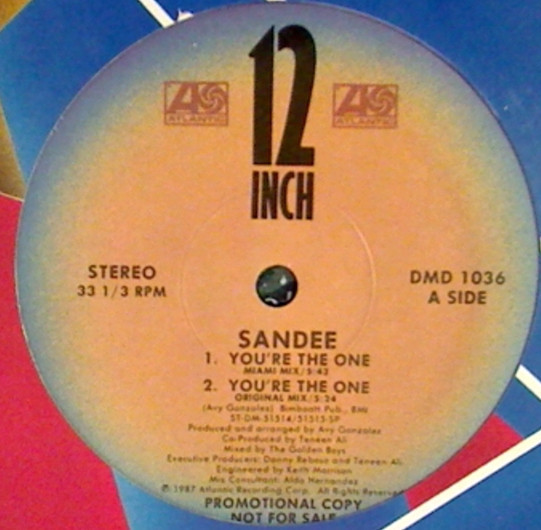 Sandee - You're The One (12", Promo)