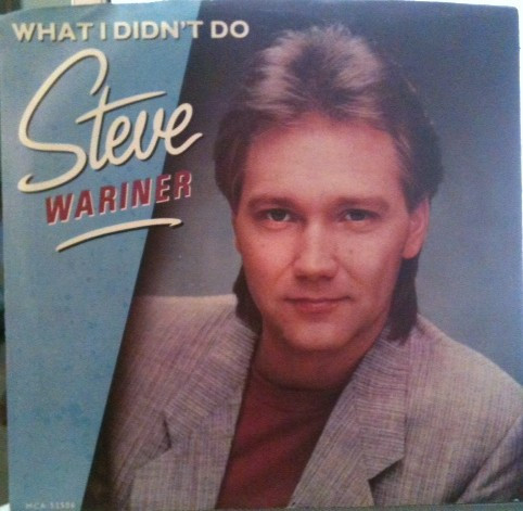 Steve Wariner - What I Didn't Do (7", Glo)