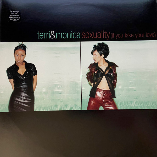 Terri & Monica - Sexuality (If You Take Your Love) (12", Promo)