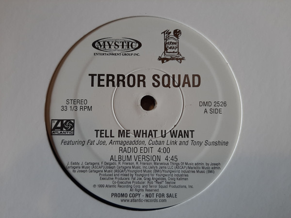 Terror Squad Featuring Fat Joe, Armageaddon*, Cuban Link And Tony Sunshine - Tell Me What U Want (12", Promo)