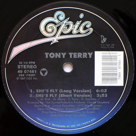 Tony Terry - She's Fly (12")