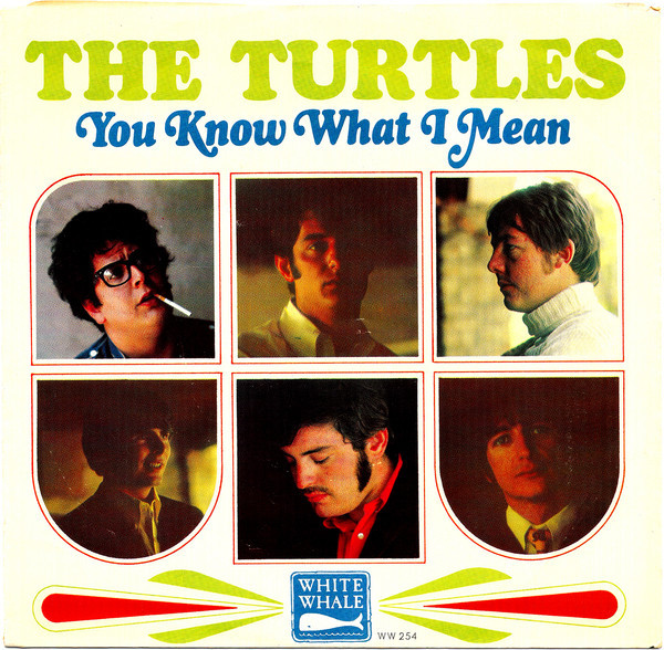 The Turtles - You Know What I Mean / Rugs Of Woods & Flowers (7", Single, Styrene, Ter)
