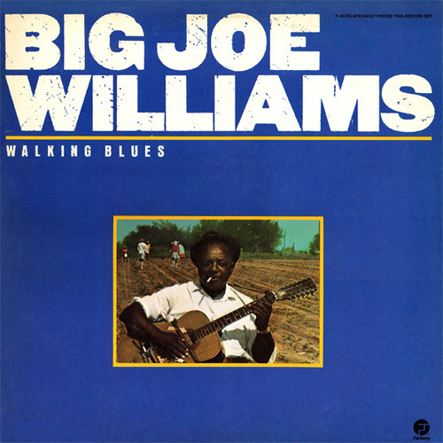 Big Joe Williams - Walking Blues (2xLP, Album, Comp, RM)