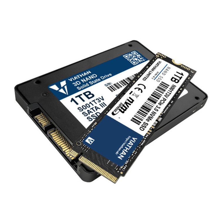 Viathan SATA and NVMe SSD