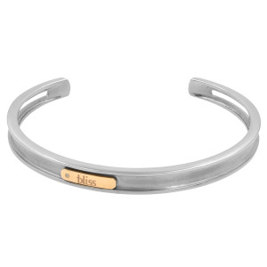 An image of a unisex adult gold tytanium bangle bracelet by Bliss by Damiani. The bracelet is positioned horizontally and is viewed from a slight top-down angle, showcasing its sleek design and open cuff style. The rose gold-toned plaque with the engraved word "bliss" is prominently featured at the front center. The image is taken at a close distance, emphasizing the bracelet's metallic finish and elegant craftsmanship.