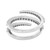 Back View Of Ring