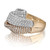 Ring Facing Left