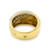 Back View Of Ring