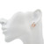 4th image of Rachel Koen 029358 Earring without stones, New condition