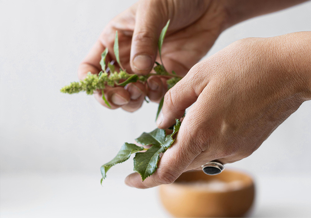 Consejo homeopático en Farmacia Montserrat Tallada en Lloret de mar, Girona