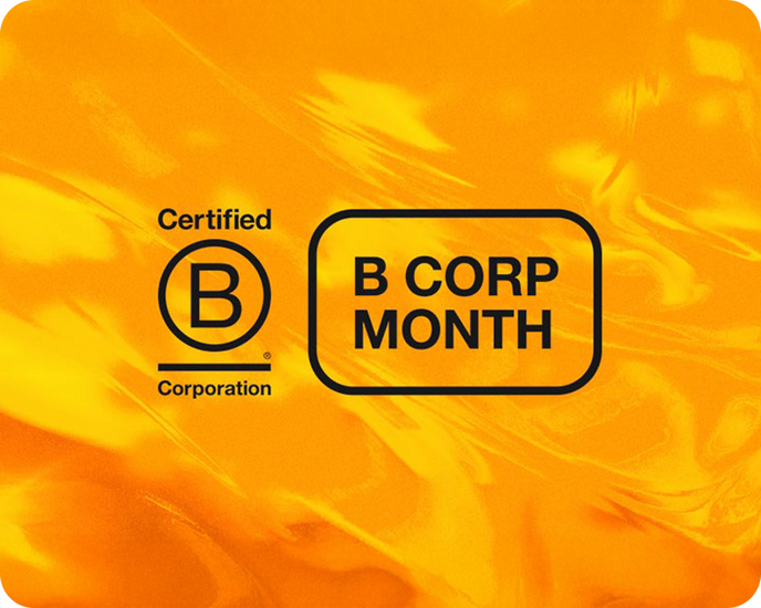 What does it mean to be a B Corp?