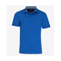 A blue polo shirt with a collar and a logo. It features a classic fit and short sleeves.