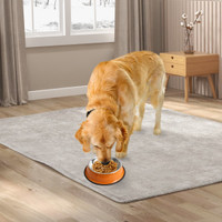 A pet feeding bowl with an orange rim and silver interior, beside a golden retriever on a light rug.