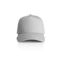 A grey cap with a structured design and a curved brim, featuring a logo on the front.