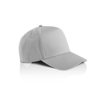 A grey cap with a structured design and a curved brim. It features a branding logo.