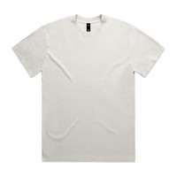 A light grey T-shirt featuring a relaxed fit and a tag inside the collar. It has a simple design and a logo.