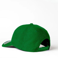 A green 6-panel snapback cap featuring a logo on the side. The back has an adjustable snap closure.