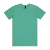 A plain mint green t-shirt featuring a tag and no visible graphics or designs.