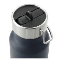 A drink bottle with a dark navy finish and a silver screw lid. It features a straw lid and a handle.