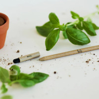 Eco-friendly basil seed pen with plant leaves and pot.