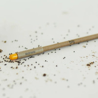 Biodegradable pencil with mustard seed capsule for sustainable planting.