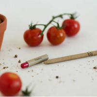 Eco-friendly pencil and cherry tomatoes on white background.