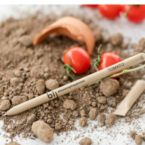 Eco-friendly plantable tomato pencil on soil with cherry tomatoes.