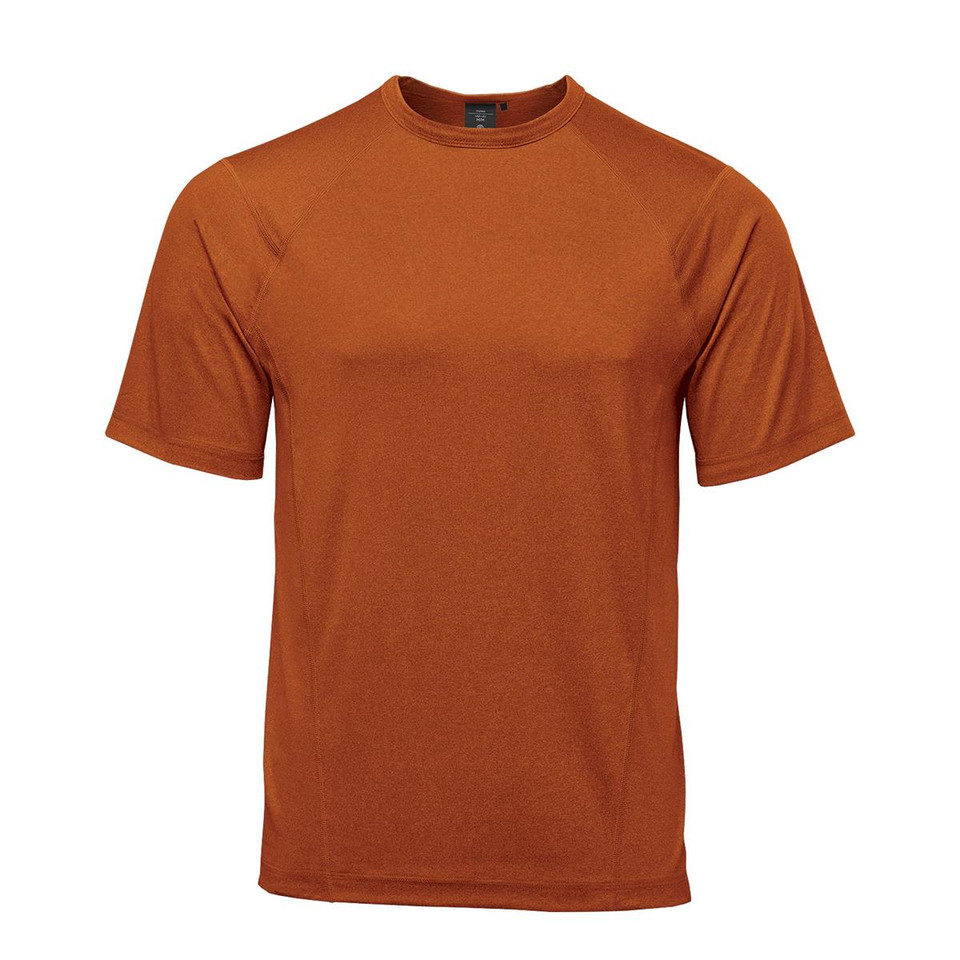 A rust-coloured men's T-shirt with a regular fit and short sleeves, featuring a logo.