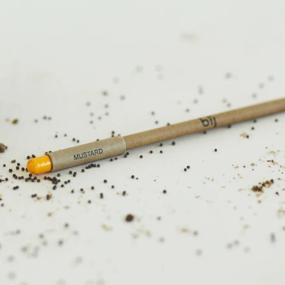 Biodegradable pencil with mustard seed capsule for sustainable planting.